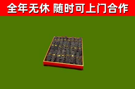 彝良县回收海参